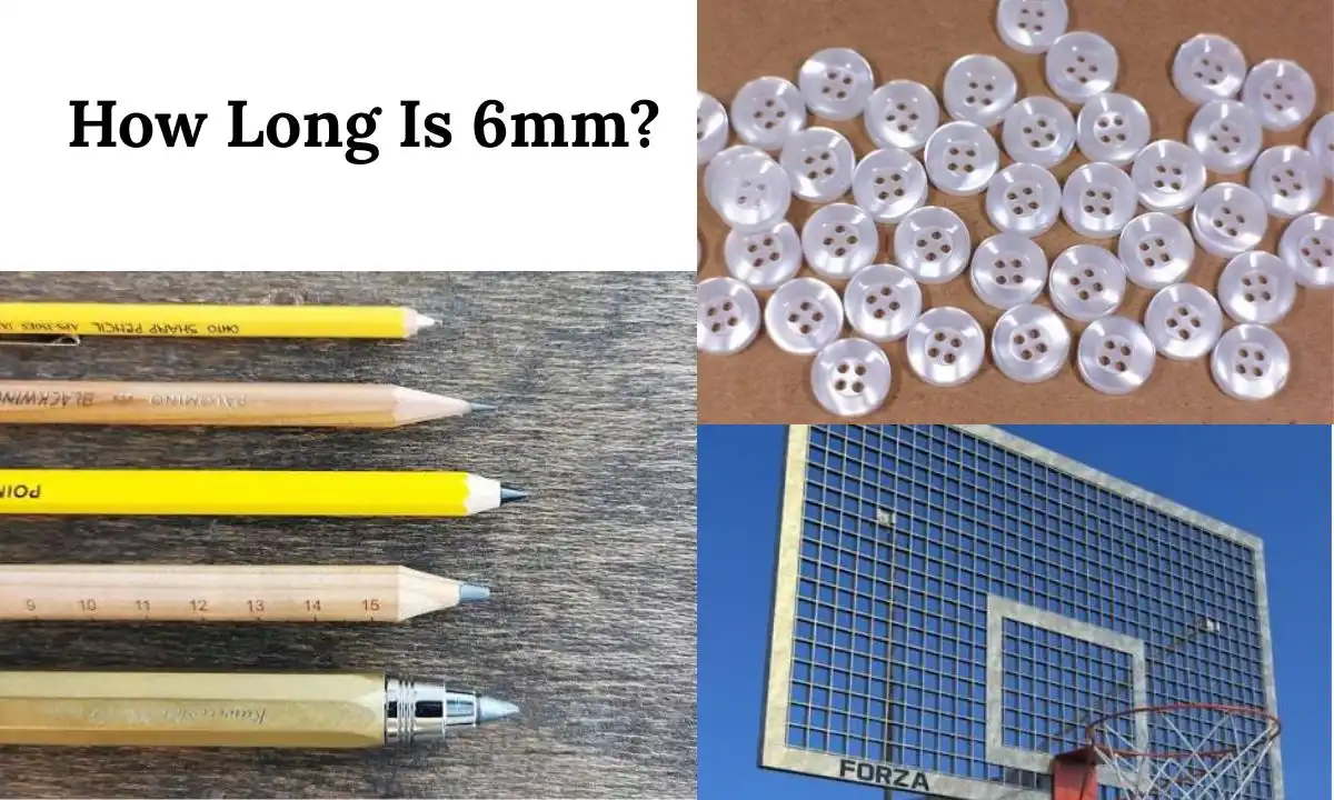 How Long Is 6mm?