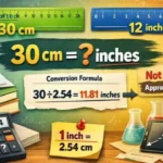 How Big Is 30cm? 10 Common Things That Are About 30cm Long