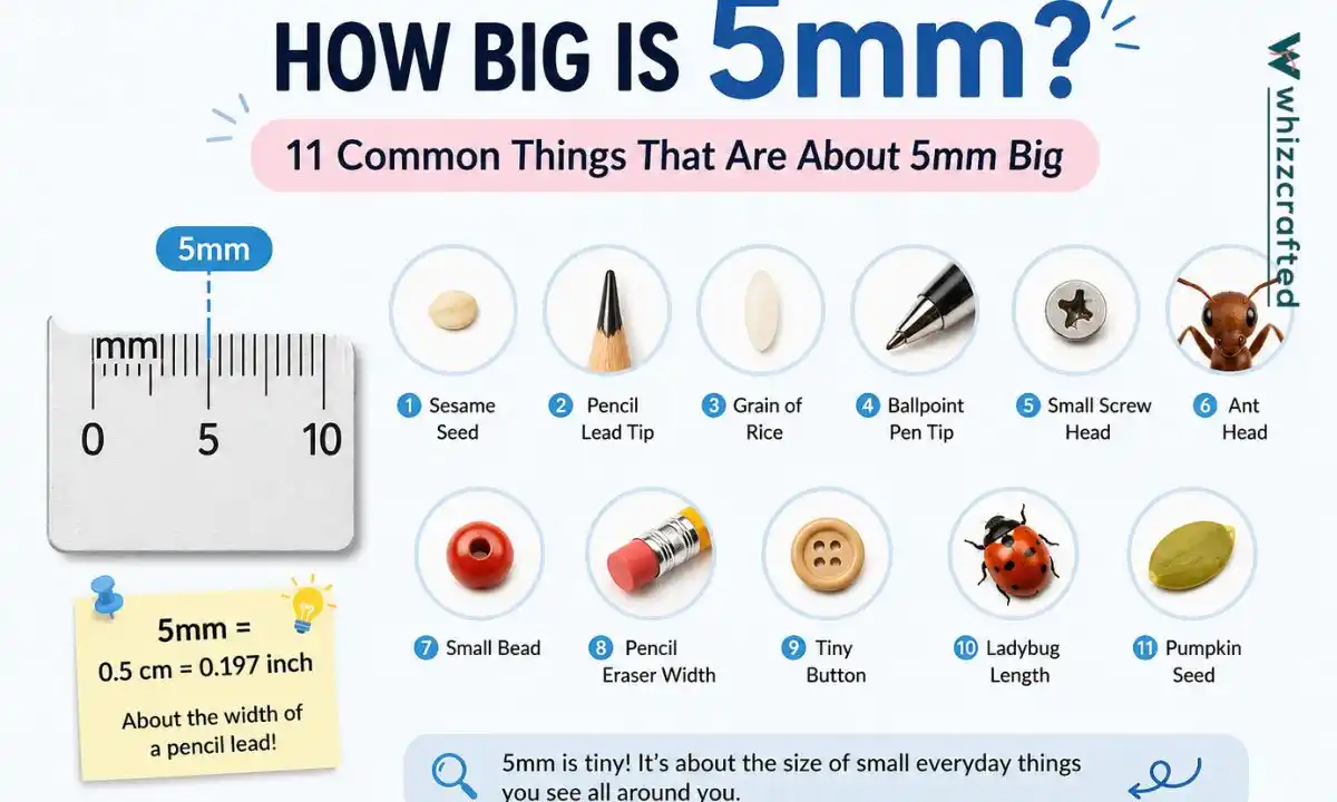 How Big Is 5mm? 11 Common Things That Are About 5mm Big