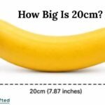 How Big Is 20cm
