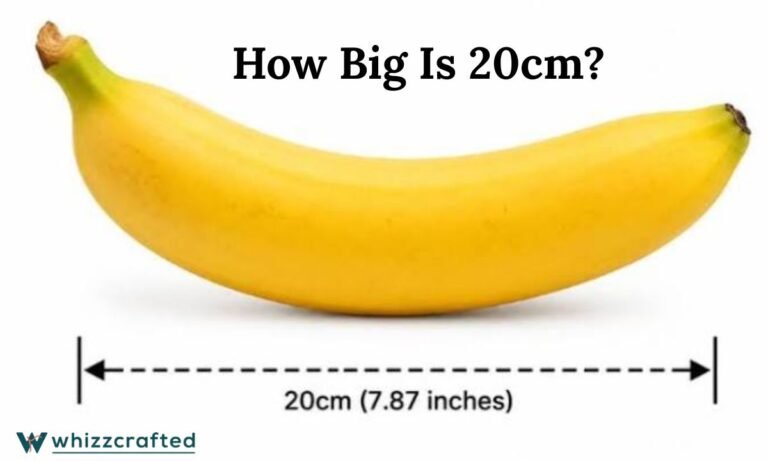 How Big Is 20cm