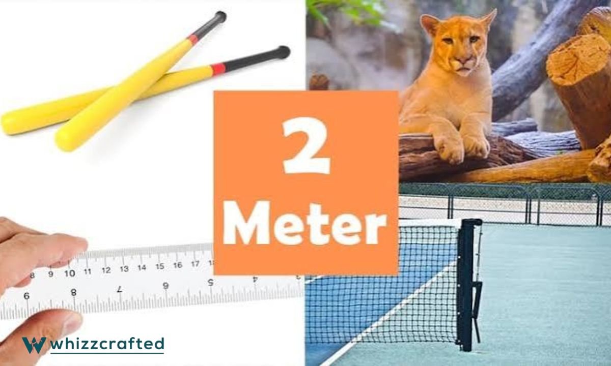 How Long Is 2 Meters