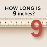 How Long Is 9 Inches