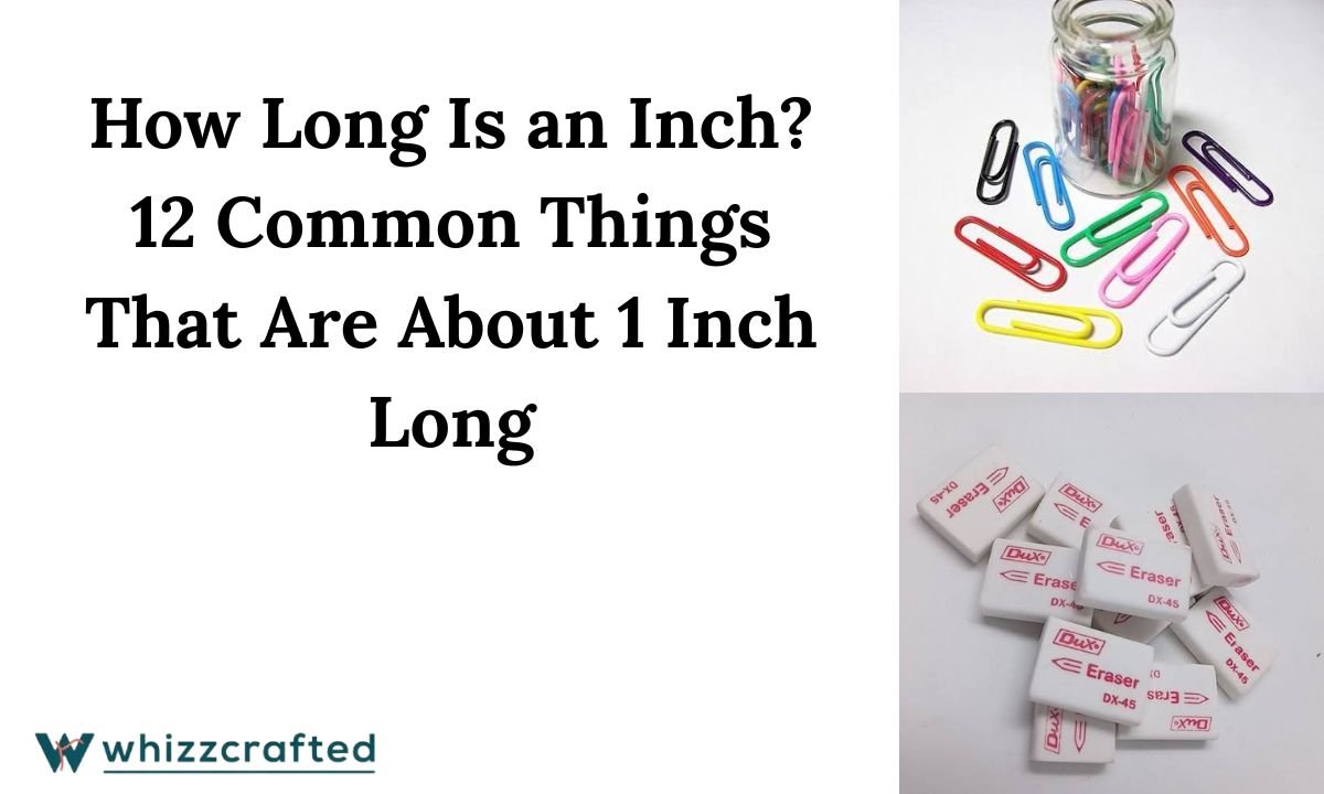 How Long Is an Inch
