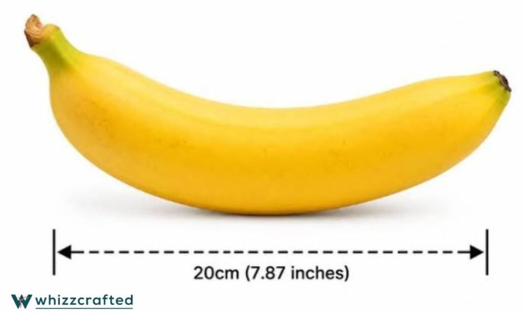 How Big Is 20cm