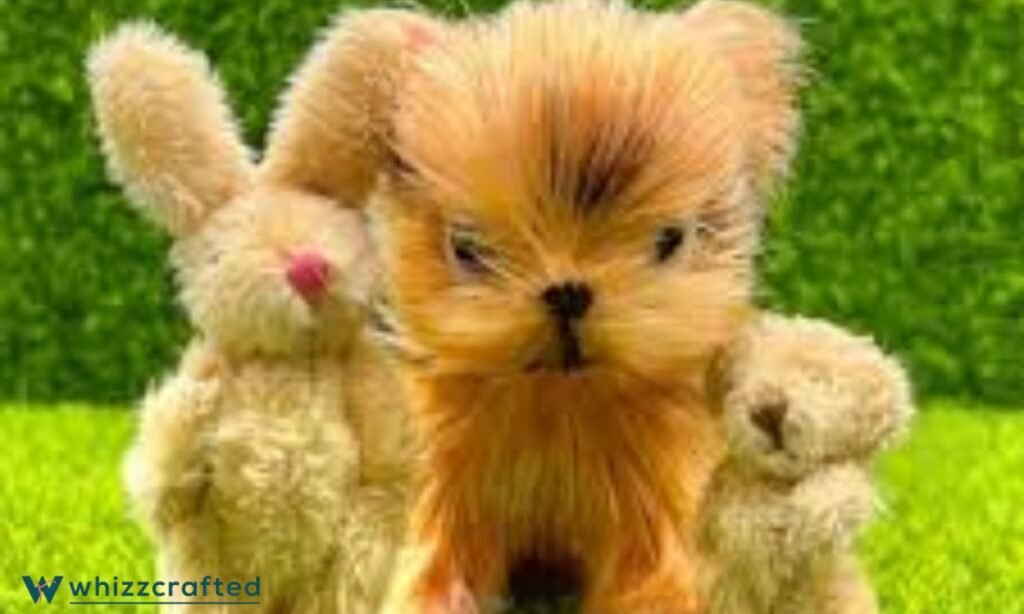 _Small Plush Toy