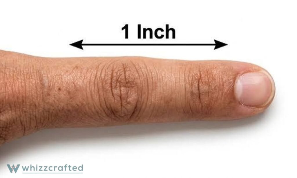The Width of an Adult Finger